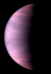 Venus Cloud Tops Viewed by Hubble