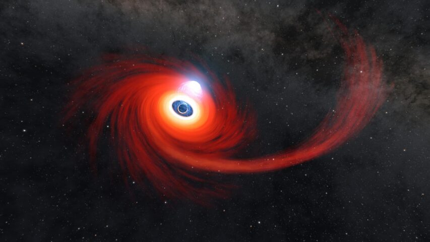 A Black Hole Destroys a Star (Illustration)