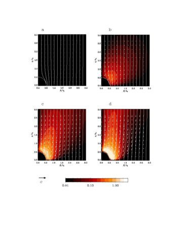 Black Hole Simulation