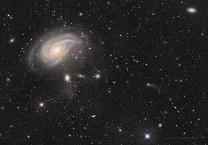 NGC 772: The Fiddlehead Galaxy